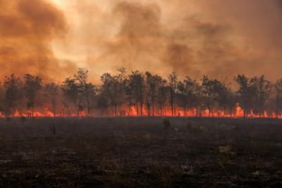 Southern California Facing Historic Fire Conditions Due To Extreme Weather