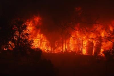 Los Angeles County Warns Against Looting And Scamming