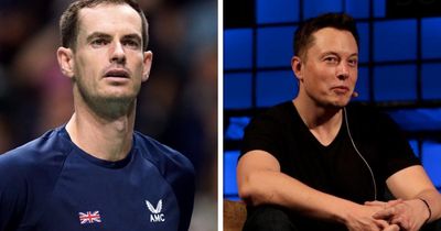 Andy Murray calls out Elon Musk over meddling on Twitter