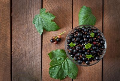 Juice From This 'Underappreciated' Berry May Help You Lose Weight, Improve Metabolic Health