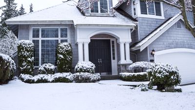 How to protect your lawn from snow damage — top tips from experts