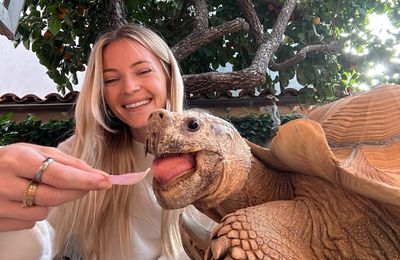 TikTok star Tiptoe the Tortoise escapes wildfires in California