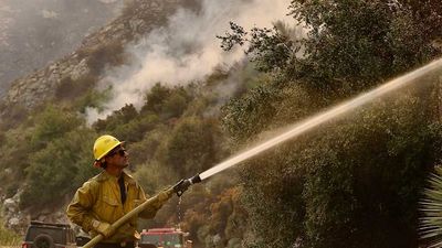 Angel City Defender Ali Riley's Home Destroyed in Devastating Los Angeles Fire