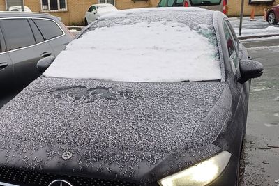 Police catch motorist driving ‘Ace Ventura-style’ because of snow on windscreen