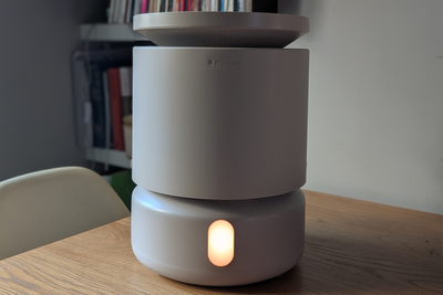 7 best humidifiers to combat dry air, congestion and irritated skin