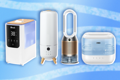 10 best humidifiers to combat dry skin and congestion