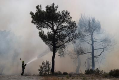 Los Angeles County Infrastructure Suffers Extensive Damage After Wildfire