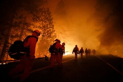 The prison inmates risking their lives fighting LA wildfires for just $1 an hour