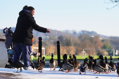 Cold snap continues as temperatures set to drop during coming days