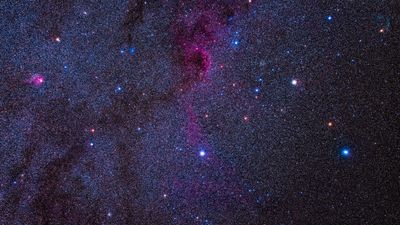 Adhara: A bright gem in Canis Major
