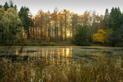 National Trust plans 250,000 hectares of nature-rich landscapes over 10 years