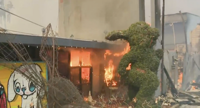 Iconic Los Angeles 'Bunny Museum,' World's Largest Collection of Bunny-Themed Artifacts, Burned Down by Wildfires