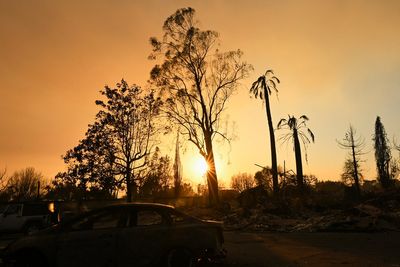 Actor Steve Guttenberg returns to his once-lush LA neighborhood now charred by devastating wildfire