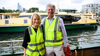 Solar power pioneer's 'unexpected' harbour honour