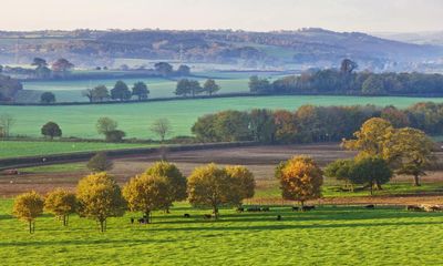 National Trust to restore nature across area bigger than Greater London