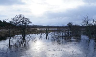 Country diary: Agitation in the air as the River Spey burst its banks