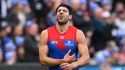 Petracca suffers injury blow at Demons training