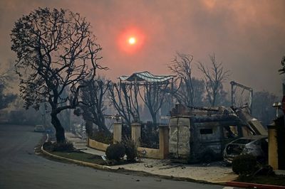 From Bunny Museum To Theatre Palisades: Find Out Which Landmarks Fell To LA Wildfires