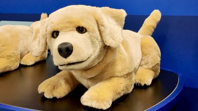 Jennie, the robot puppy, is the one piece of tech I wish I had stolen from CES 2025