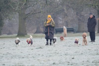 Warning London temperatures could drop to -6C for coldest night of winter as parts of UK face -20C freeze