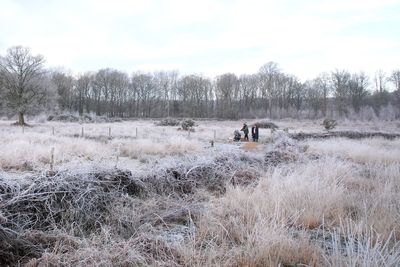 UK sees coldest January night in 15 years as winter snap continues