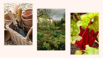 Essential gardening jobs that need to be done in January, according to horticultural experts