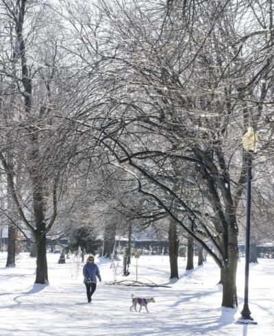 Winter Storm Blankets Southern U.S. In Snow And Ice