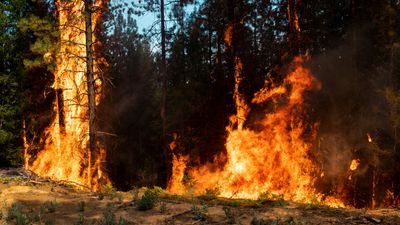 "We started to hear the fire crackle right behind us" – video shows terrified hikers fleeing from LA wildfires