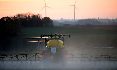 UK’s first glyphosate-resistant weed found on Kent farm