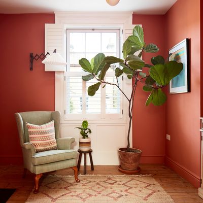 How to care for Fiddle Leaf Fig to make the most of this swoon-worthy statement plant