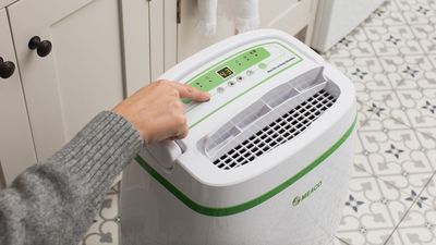 Why a dehumidifier is your secret weapon for a cosy home with lower heating bills this winter