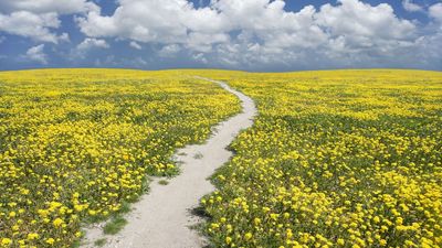 9 States Without Income Tax in 2026