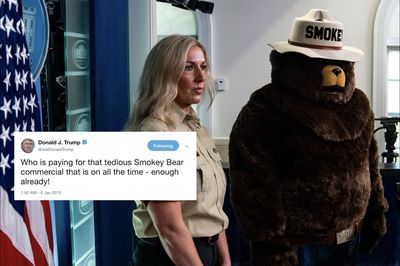 Trump Calls Smokey Bear Wildfire Prevention Ads 'Tedious' in Resurfaced Tweet: 'Enough Already!'