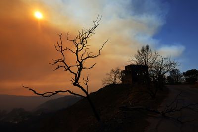 Complete List Of Celebrities Who Lost Their Homes To The LA Fires