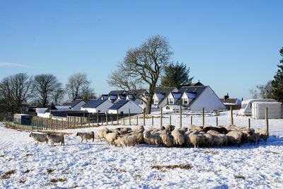 Mercury falls to minus 18C in Scottish hamlet as cold spell continues