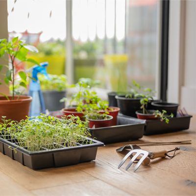 Are heated propagators worth it? 3 reasons you should buy one before spring