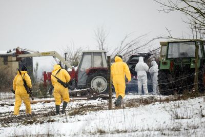 Animal transports banned in German region after foot-and-mouth disease detected