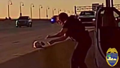 Watch moment heroic police officer rescues cat stranded on busy bridge as traffic zooms past