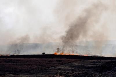 Los Angeles County Faces Erroneous Wildfire Evacuation Alerts
