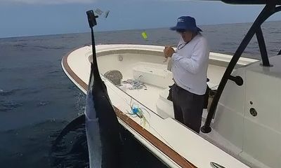 Watch: Hooked marlin sends boater’s phone, wallet flying
