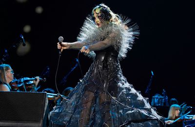 Björk says she is 'pretty thick-skinned' when it comes to ridicule and parodies  of herself