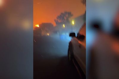 Watch: Wildfire hero rescues woman and four dogs from burning LA home