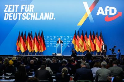 German Far Right Emboldened By Austria