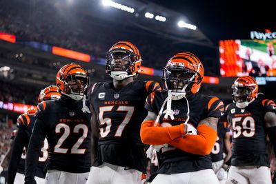 Bengals star hit with big NFL fine due to actions vs. Steelers