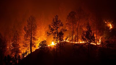 More than a quarter of India’s forest cover is fire-prone, 9 out of 10 forest fires caused by humans