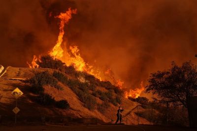 LA wildfires: Shocking images show scale of devastation in Los Angeles