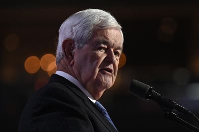 Trump’s sweeping deportation threat is unworkable and aimed at ‘rabid’ Republicans, says Newt Gingrich