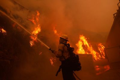 What was the cause of the Pacific Palisades fire?