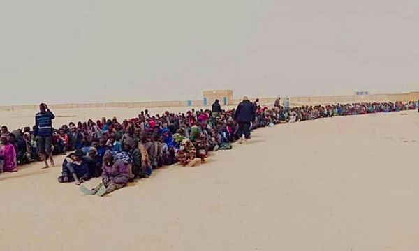 Libya expels 600 Nigeriens in ‘dangerous and traumatising’ desert journey