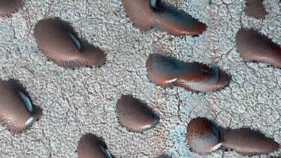 Giant 'kidney beans' spotted in Mars satellite images could point to signs of water and life